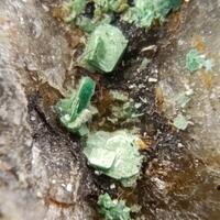 Torbernite On Smoky Quartz