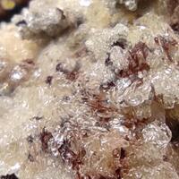 Cerussite On Limonite