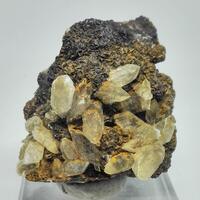 Gypsum & Siderite