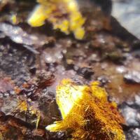 Cacoxenite