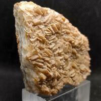 Alunite