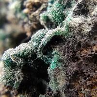 Pseudomalachite