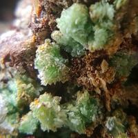 Montgomeryite