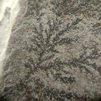 Pyrolusite