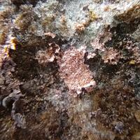 Native Copper & Cuprite