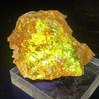 Dewindtite