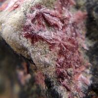Erythrite