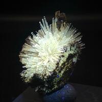 Aragonite