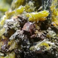 Epidote Ferro-actinolite & Pyrite