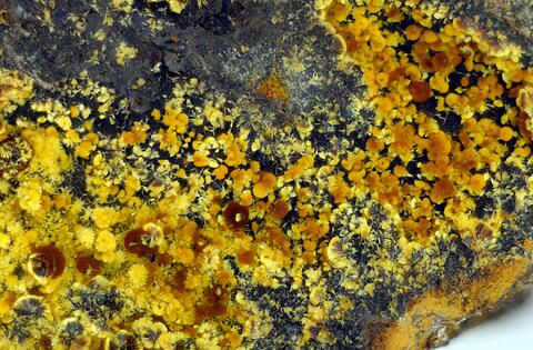 Mineral Images Only: Cacoxenite