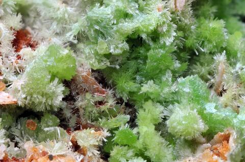 Mineral Images Only: Pyromorphite