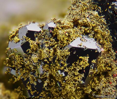 Mineral Images Only: Kolymite On Cuprite