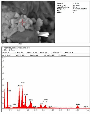 Analysis Report - only: Benyacarite & Waylandite