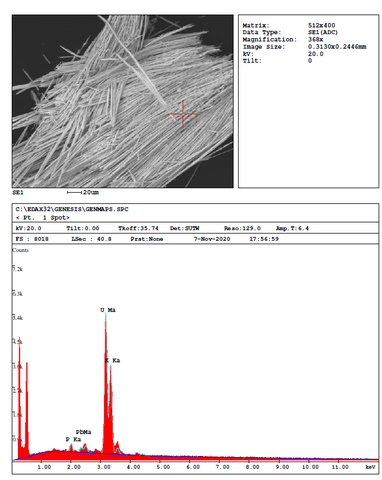 Analysis Report - only: Studtite & Phosphuranylite