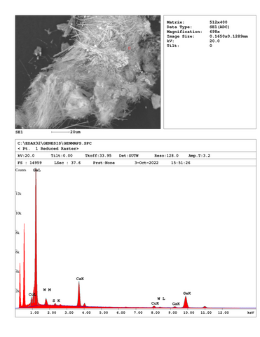 Analysis Report - only: Schaurteite