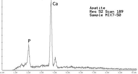 Analysis Report - only: Elpidite & Petersenite-(Ce) With Arfvedsonite On Aegirine & Fluorapatite
