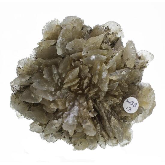 Gypsum