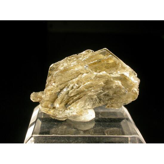 Polylithionite