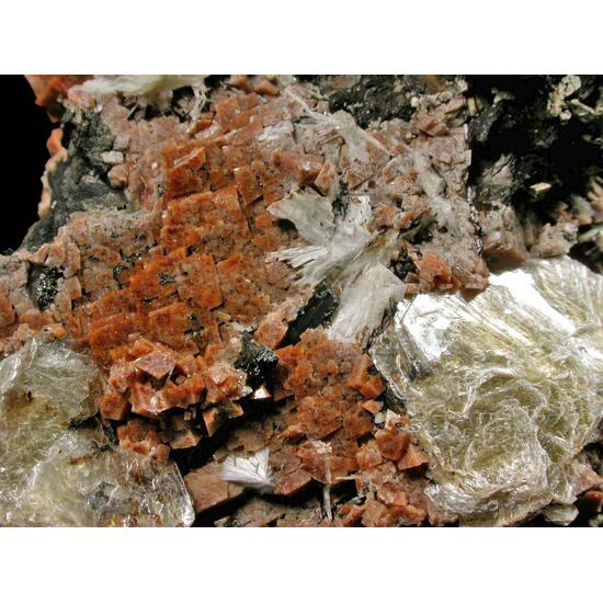 Rhodochrosite Polylithionite Aegirine Catapleiite Leifite & Fluorite