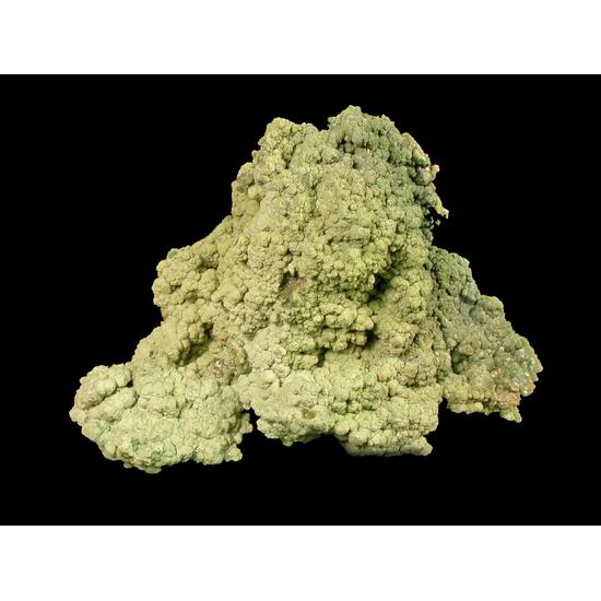 Analcime & Chamosite