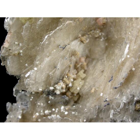 Polylithionite