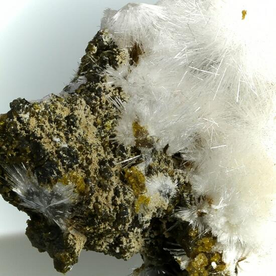 Bultfonteinite & Johnbaumite On Andradite