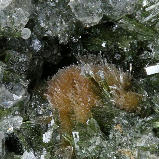 Bultfonteinite & Apophyllite On Diopside