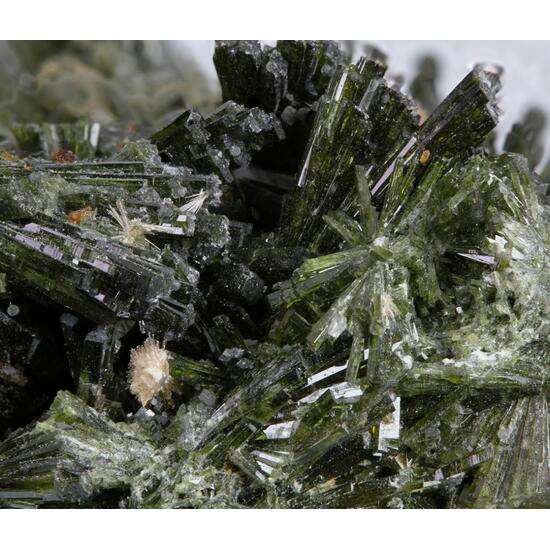 Bultfonteinite On Diopside With Apophyllite