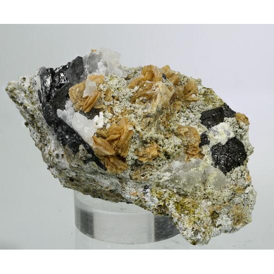 Cahnite Roweite Magnetite & Andradite