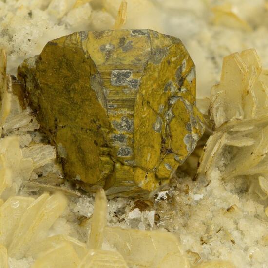 Mushistonite On Kësterite With Muscovite