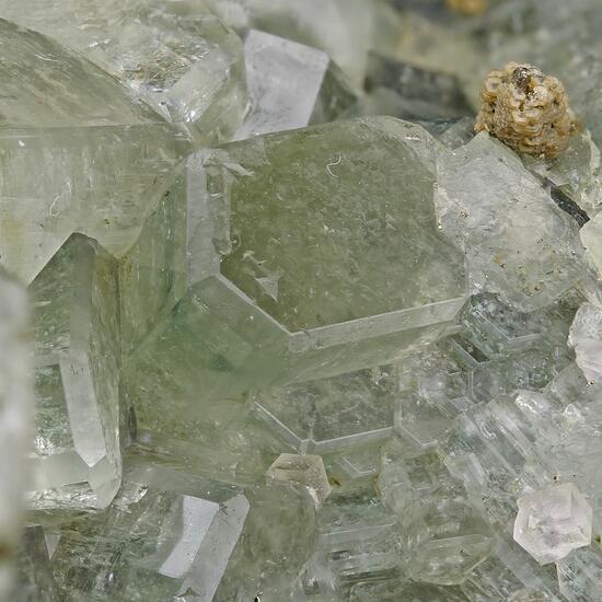 Fluorapatite Fluorite & Siderite