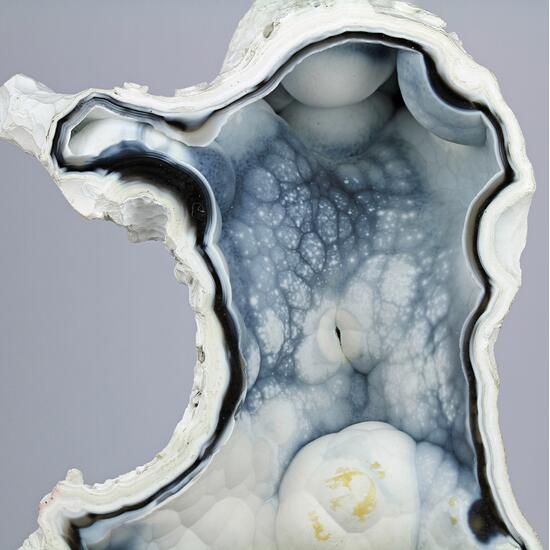 Chalcedony Psm Fossil Coral