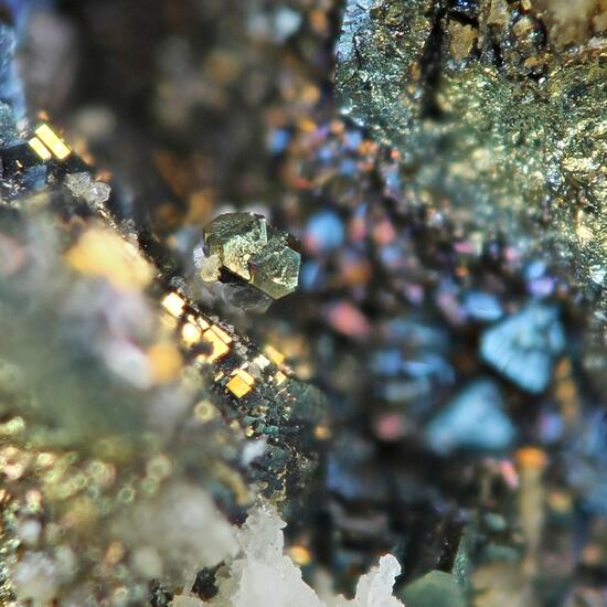 Pyrite & Millerite