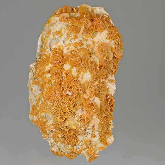 Wulfenite