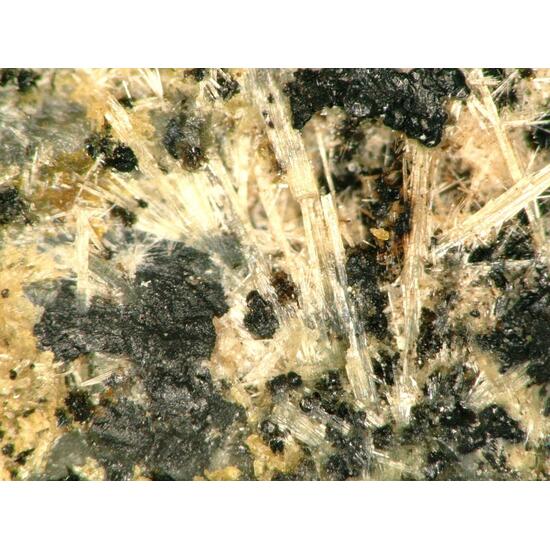 Earlshannonite & Strunzite