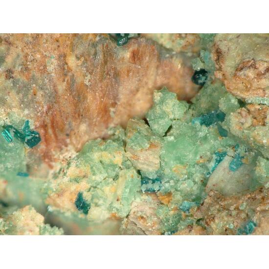 Hoganite Malachite & Gypsum