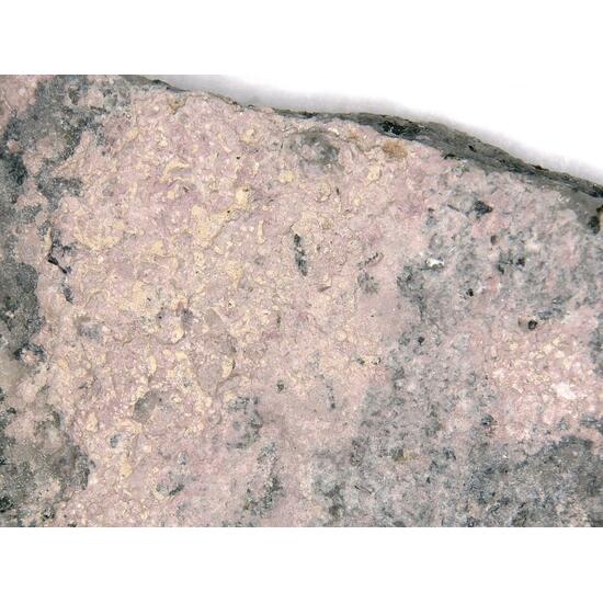 Ammoniotinsleyite