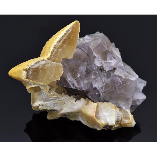 Fluorite With Calcite