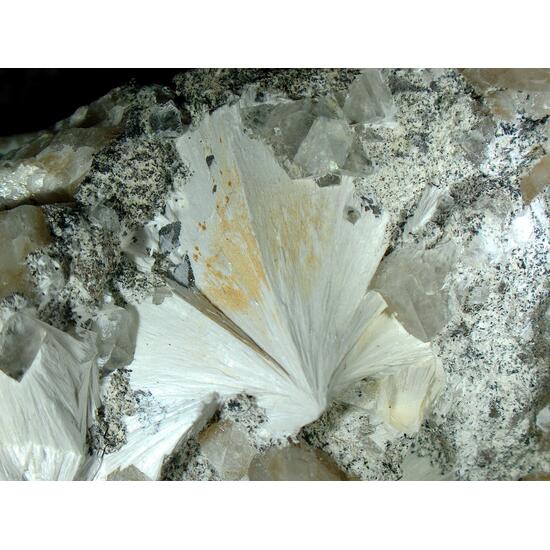 Pectolite