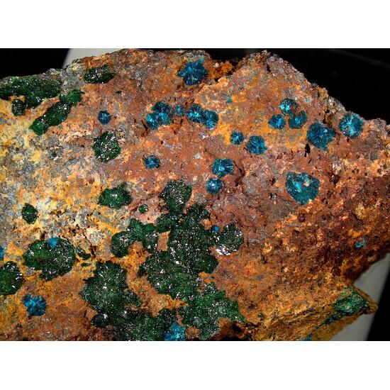 Sampleite & Atacamite