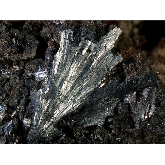 Manganite