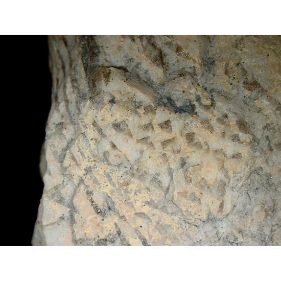 Graphic Granite