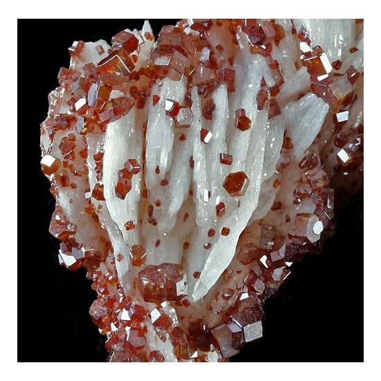 Vanadinite On Baryte