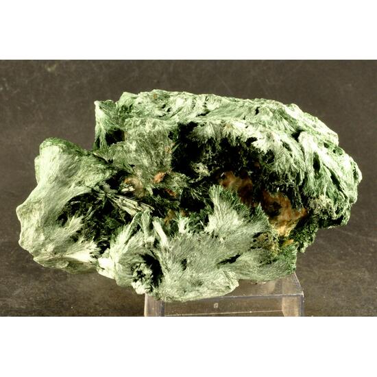 Actinolite