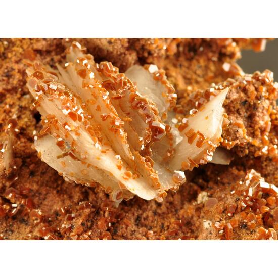 Vanadinite & Baryte