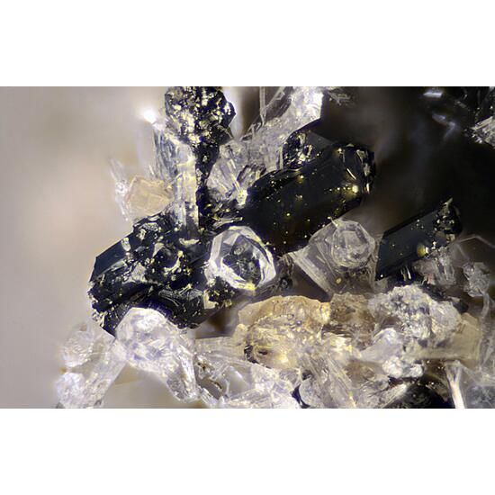 Anorthite Leucite Esseneite & Melilite