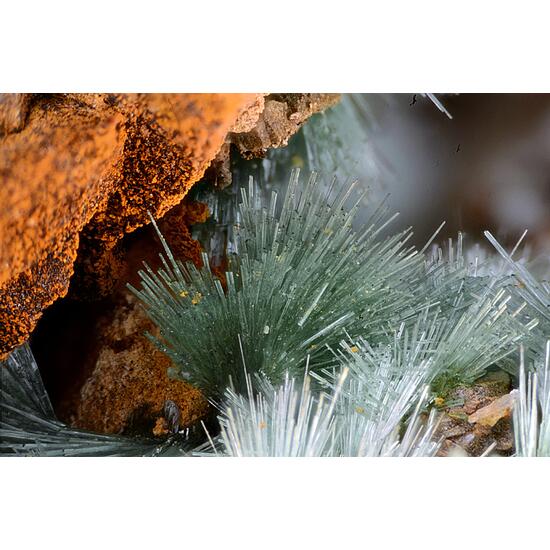 Olivenite & Quartz