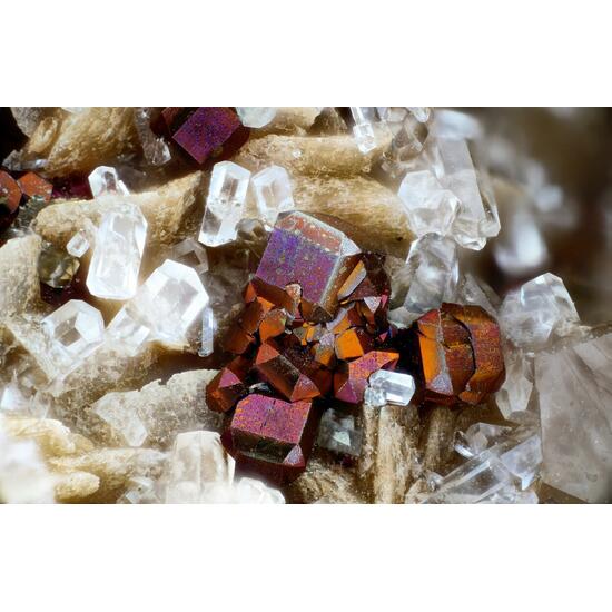Pyrite & Calcite