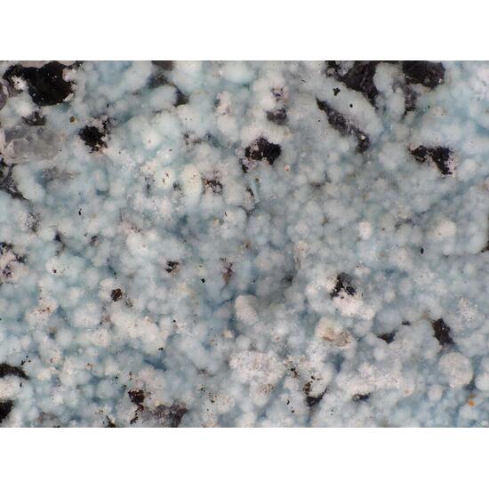 Serpierite & Schulenbergite