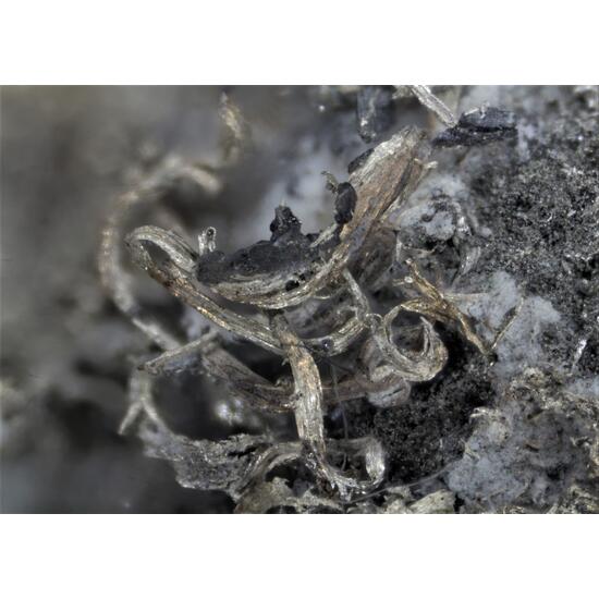 Silver Wire